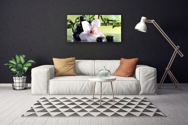 Obraz Canvas Orchidea kamene bambus 100x50 cm