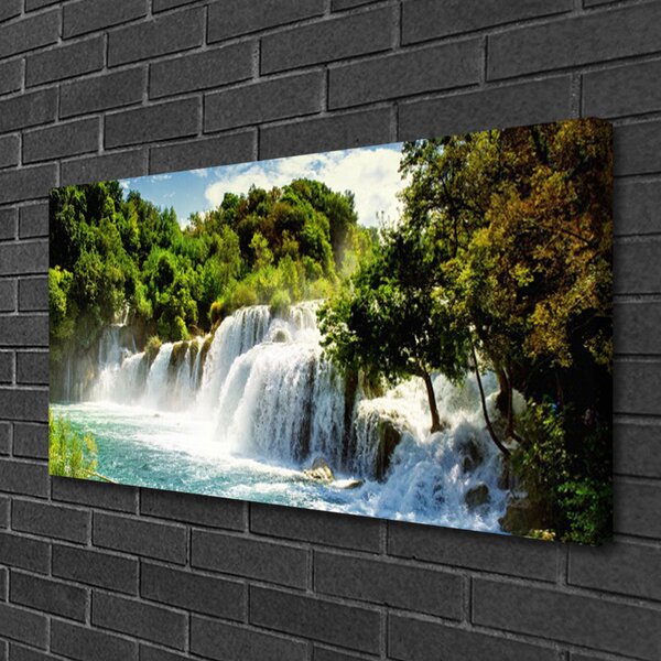Obraz Canvas Vodopád príroda les 100x50 cm