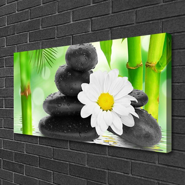 Obraz Canvas Bambus kamene zen kvet 100x50 cm