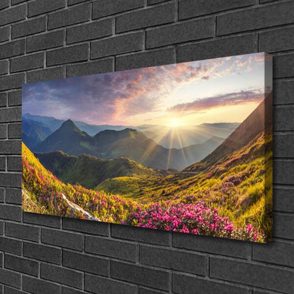 Obraz Canvas Hora lúka slnko krajina 100x50 cm