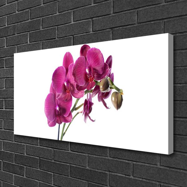 Obraz Canvas Orchidea kvety príroda 100x50 cm