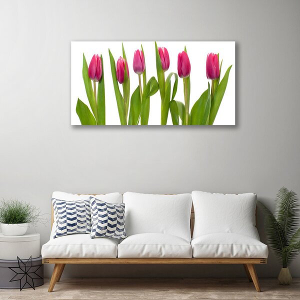 Obraz Canvas Tulipány kvety rastlina 100x50 cm