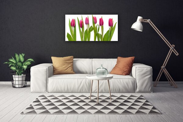 Obraz Canvas Tulipány kvety rastlina 100x50 cm
