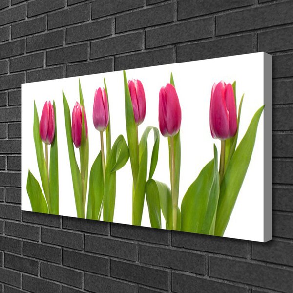 Obraz Canvas Tulipány kvety rastlina 100x50 cm