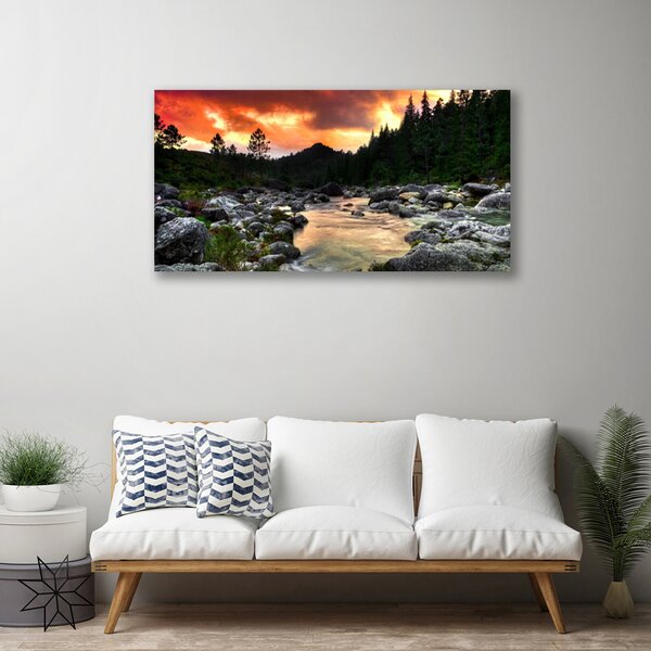 Obraz Canvas Jazero kamene les príroda 100x50 cm