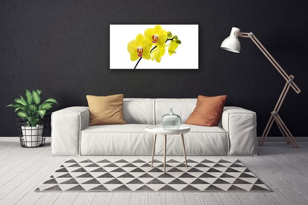Obraz Canvas Kvety rastlina príroda 100x50 cm