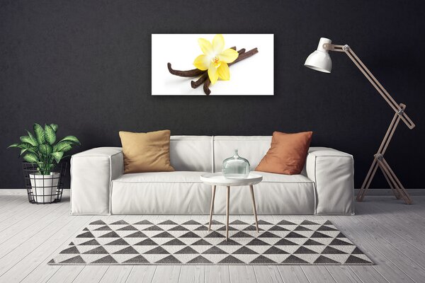 Obraz Canvas Vanilka rastlina príroda 100x50 cm