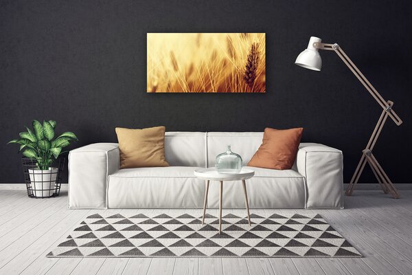 Obraz Canvas Pšenica rastlina príroda 100x50 cm