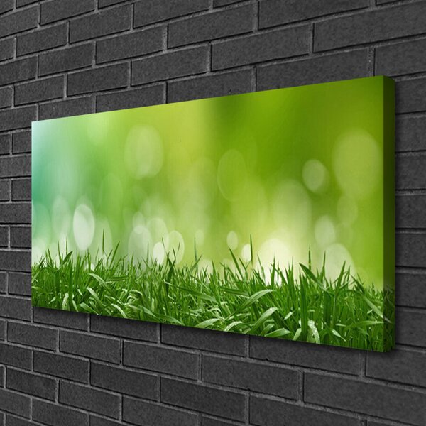 Obraz Canvas Tráva rastlina príroda 100x50 cm