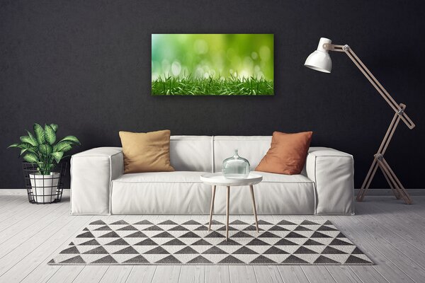Obraz Canvas Tráva rastlina príroda 100x50 cm