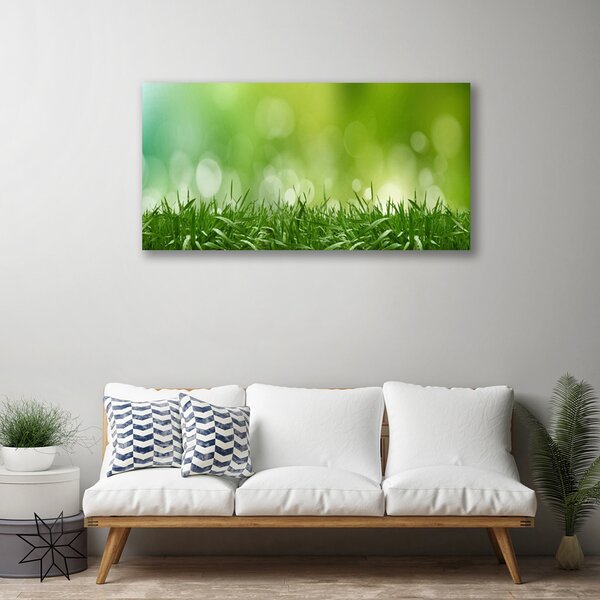 Obraz Canvas Tráva rastlina príroda 100x50 cm