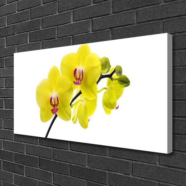 Obraz Canvas Kvety rastlina príroda 100x50 cm