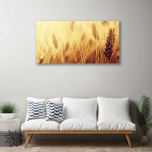 Obraz Canvas Pšenica rastlina príroda 100x50 cm