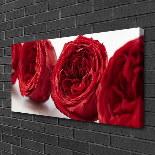 Obraz Canvas Ruže kvety rastlina 100x50 cm