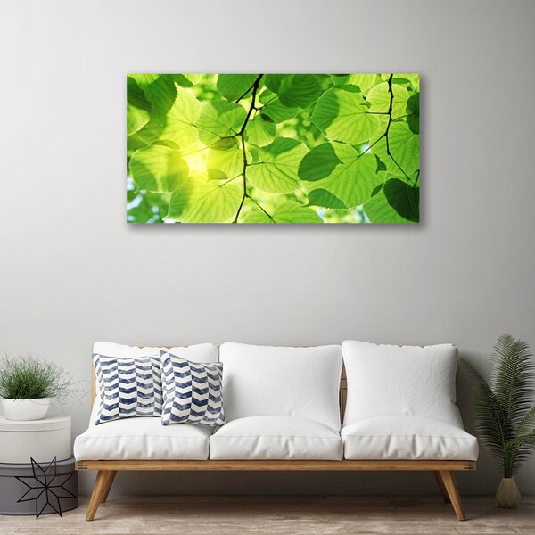 Obraz Canvas Listy príroda rastlina 100x50 cm