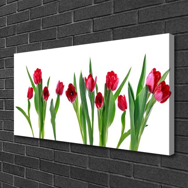 Obraz Canvas Tulipány kvety rastlina 100x50 cm