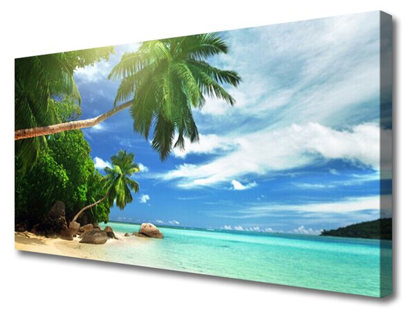 Obraz Canvas Palma pláž more krajina 100x50 cm