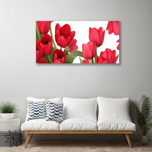Obraz Canvas Tulipány kvety rastlina 100x50 cm