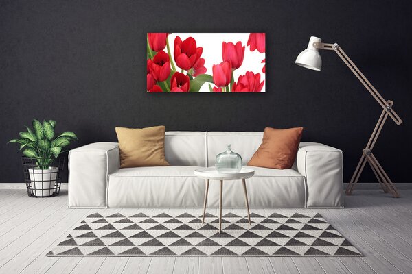 Obraz Canvas Tulipány kvety rastlina 100x50 cm