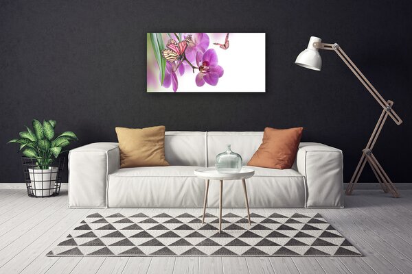Obraz Canvas Motýle kvety príroda 100x50 cm