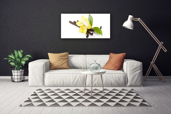 Obraz Canvas Vanilka listy rastlina 100x50 cm