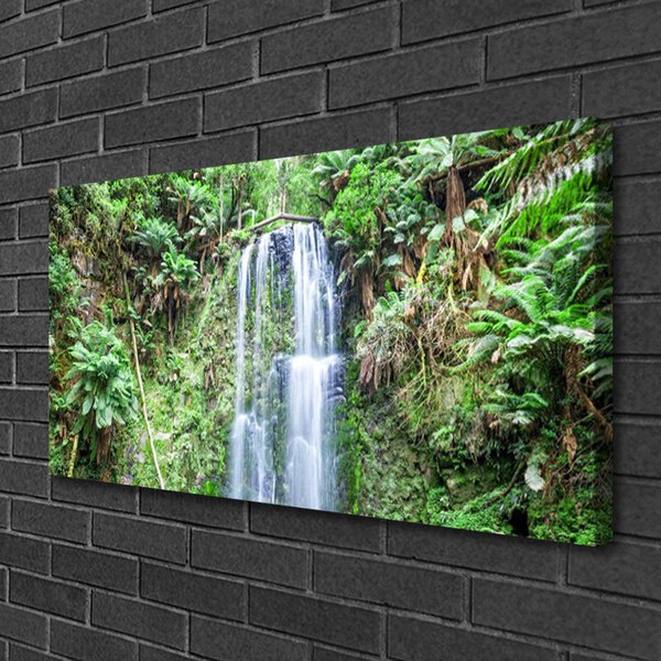 Obraz Canvas Vodopád stromy príroda 100x50 cm
