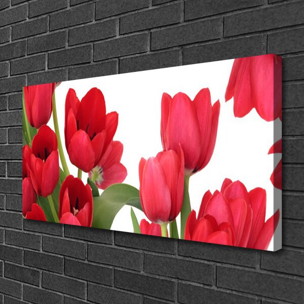 Obraz Canvas Tulipány kvety rastlina 100x50 cm