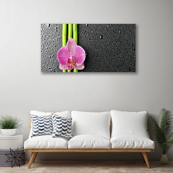 Obraz Canvas Bambus kvet rastlina príroda 100x50 cm