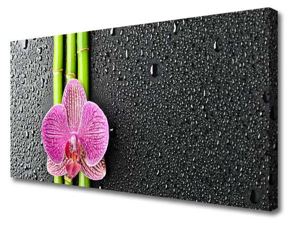Obraz Canvas Bambus kvet rastlina príroda 125x50 cm