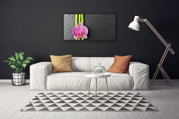 Obraz Canvas Bambus kvet rastlina príroda 100x50 cm