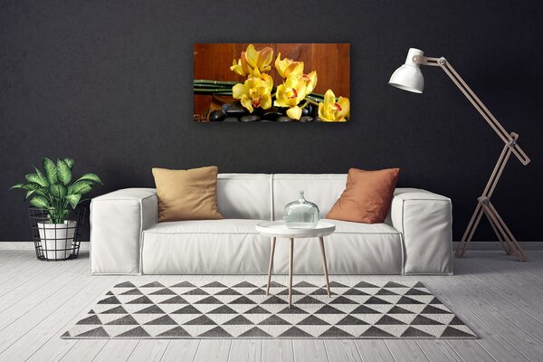 Obraz Canvas Kvet kamene rastlina 100x50 cm