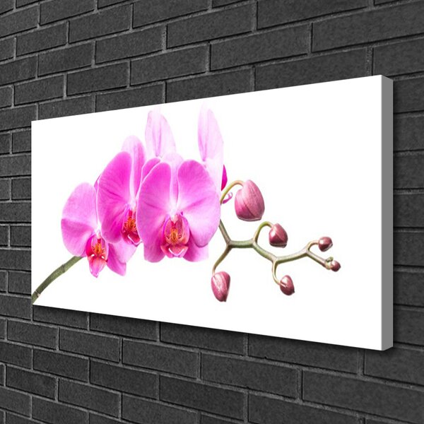 Obraz Canvas Kvety rastlina príroda 100x50 cm