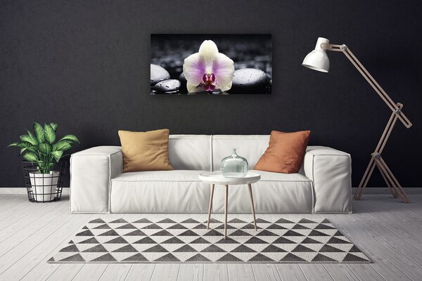 Obraz Canvas Kvet kamene rastlina 100x50 cm