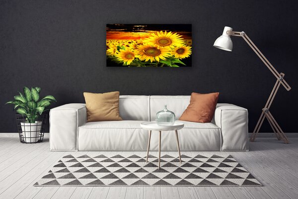 Obraz Canvas Slnečnica kvet rastlina 100x50 cm