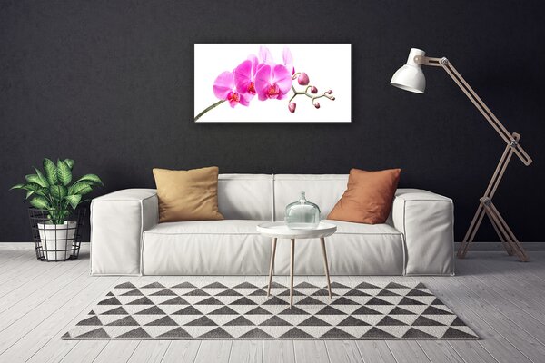 Obraz Canvas Kvety rastlina príroda 100x50 cm
