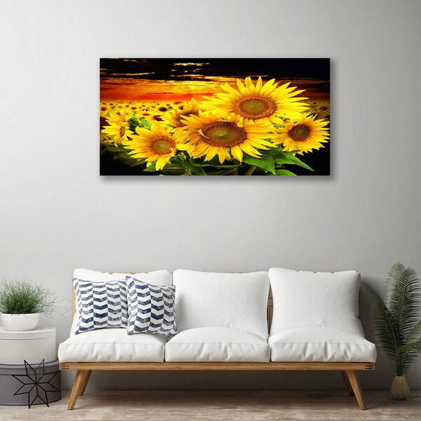 Obraz Canvas Slnečnica kvet rastlina 100x50 cm