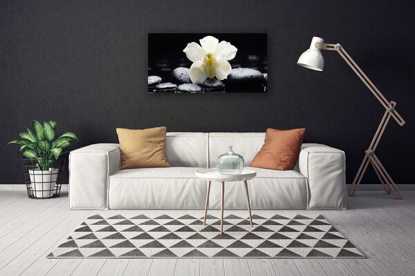 Obraz Canvas Kvet kamene rastlina 100x50 cm