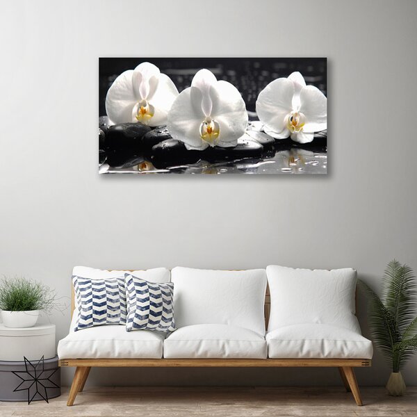 Obraz Canvas Kvet kamene rastlina 100x50 cm