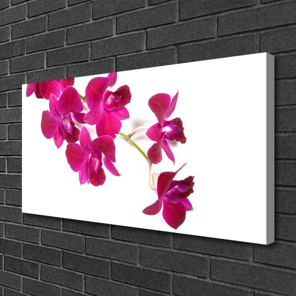 Obraz Canvas Kvety rastlina príroda 100x50 cm