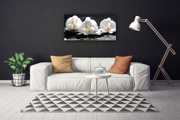 Obraz Canvas Kvet kamene rastlina 100x50 cm