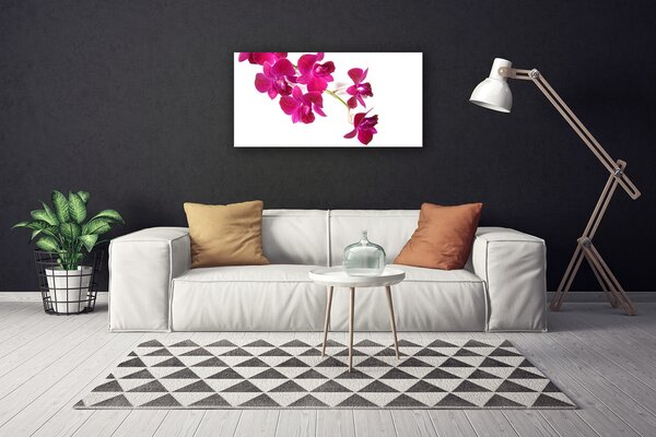 Obraz Canvas Kvety rastlina príroda 100x50 cm