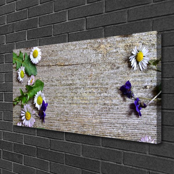 Obraz Canvas Sedmokráska rastlina príroda 100x50 cm
