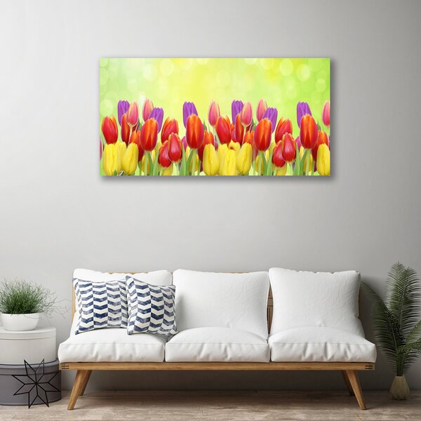 Obraz Canvas Tulipány kvety rastlina 100x50 cm
