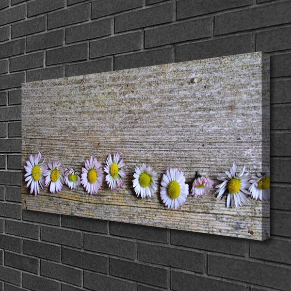 Obraz Canvas Sedmokráska rastlina príroda 100x50 cm