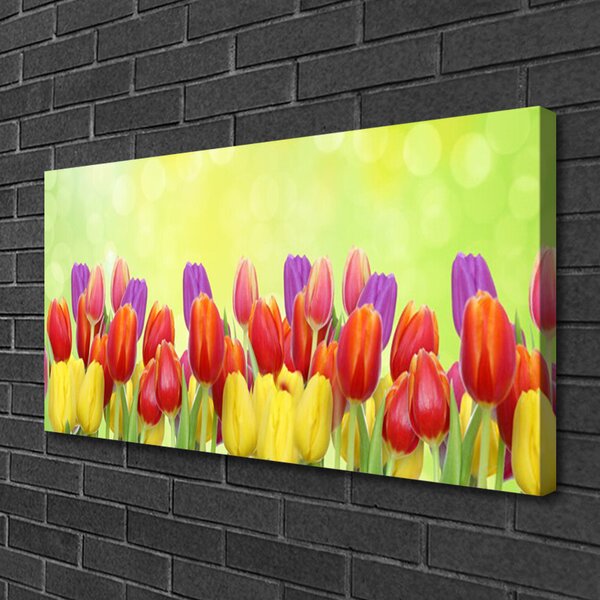 Obraz Canvas Tulipány kvety rastlina 100x50 cm