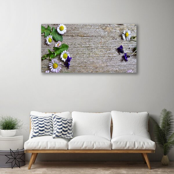 Obraz Canvas Sedmokráska rastlina príroda 100x50 cm