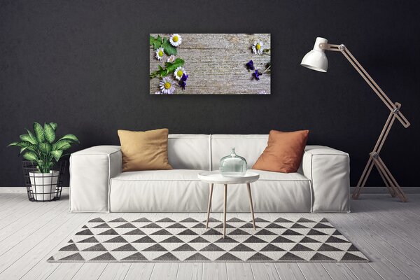 Obraz Canvas Sedmokráska rastlina príroda 100x50 cm
