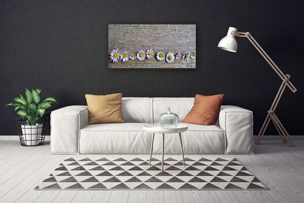 Obraz Canvas Sedmokráska rastlina príroda 100x50 cm