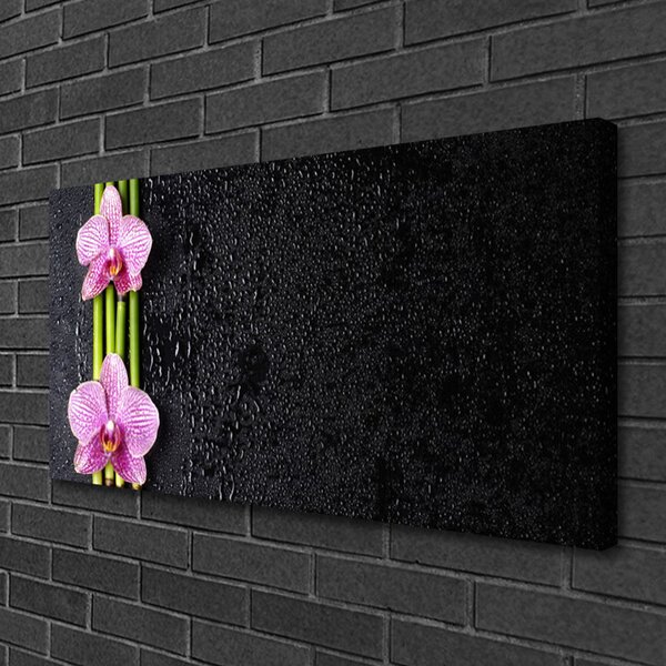 Obraz Canvas Bambus kvet rastlina príroda 100x50 cm