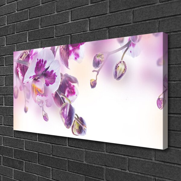 Obraz Canvas Kvety rastlina príroda 100x50 cm